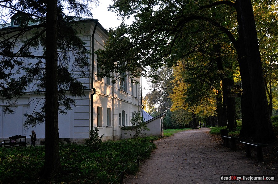 усадьба Ясная Поляна