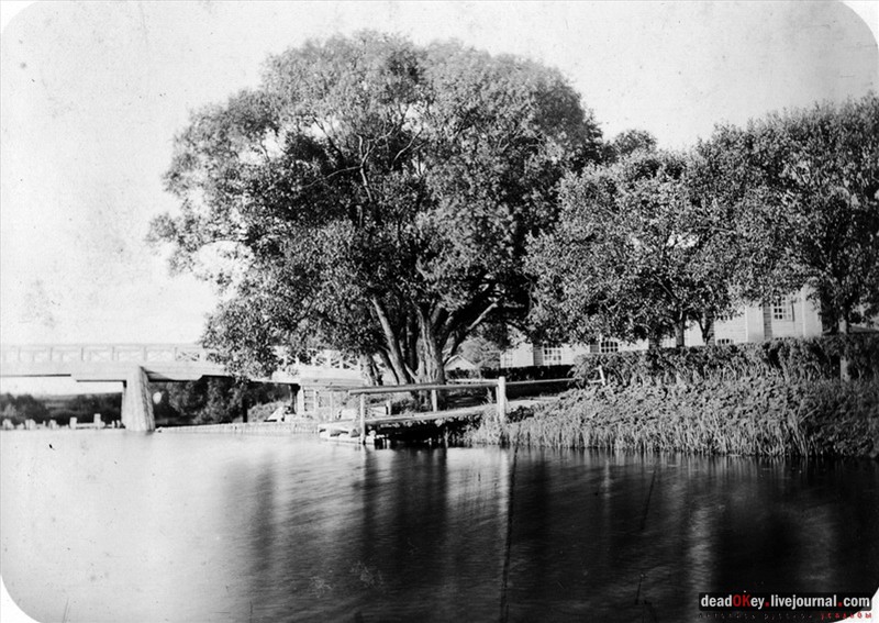 усадьба Лучки