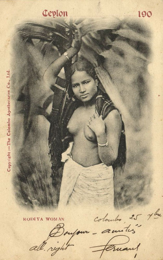 усадьба Мелихово. Чехов на Цейлоне