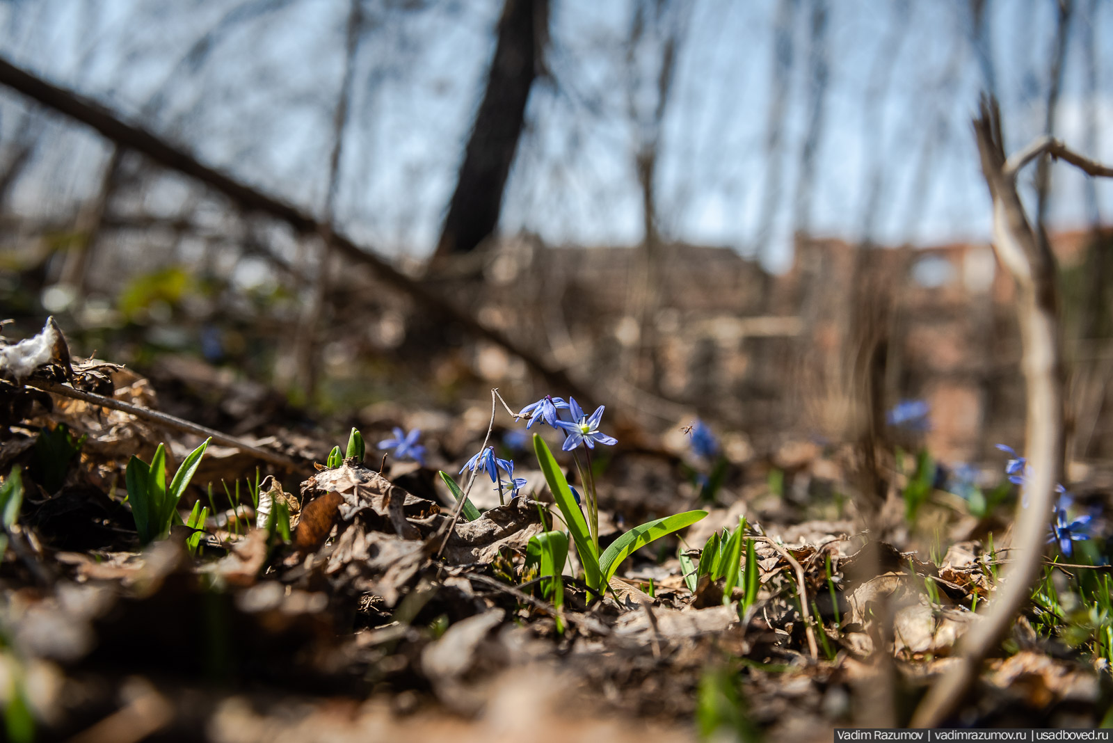 усадьба Шаталовка весной 2021 года, Липецкая область, Елец