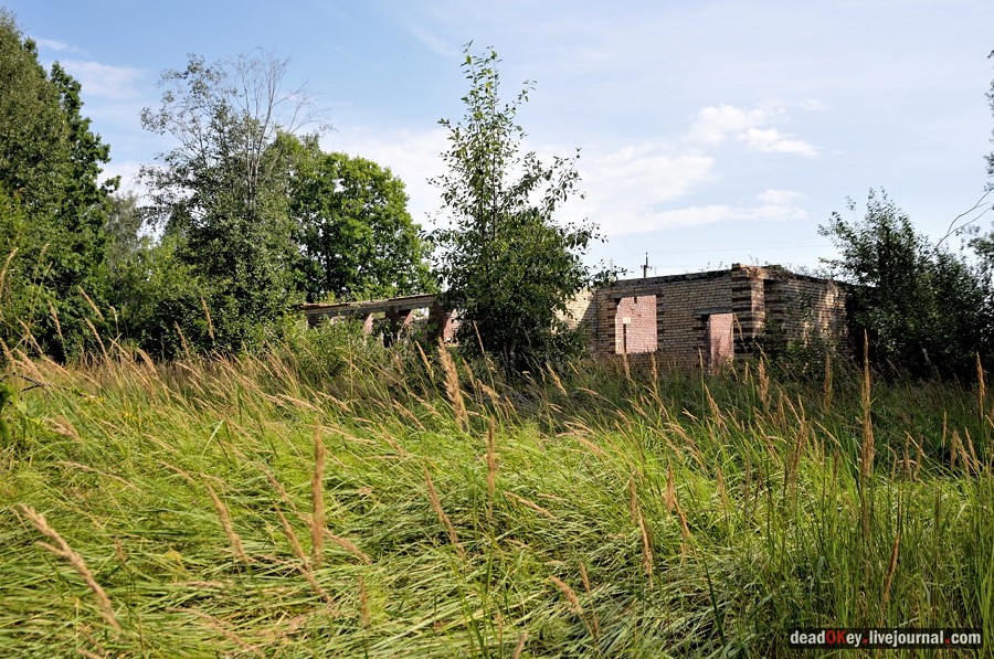 усадьба Хомяково