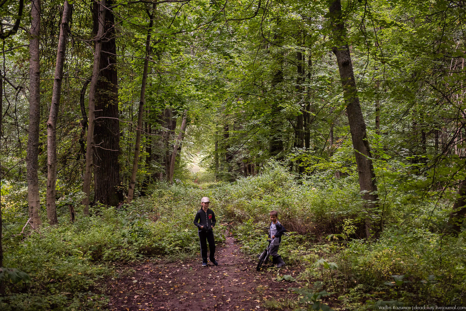 усадьба Никольское-Обольяниново, Усадебные волонтеры, субботник 17 августа 2019 года