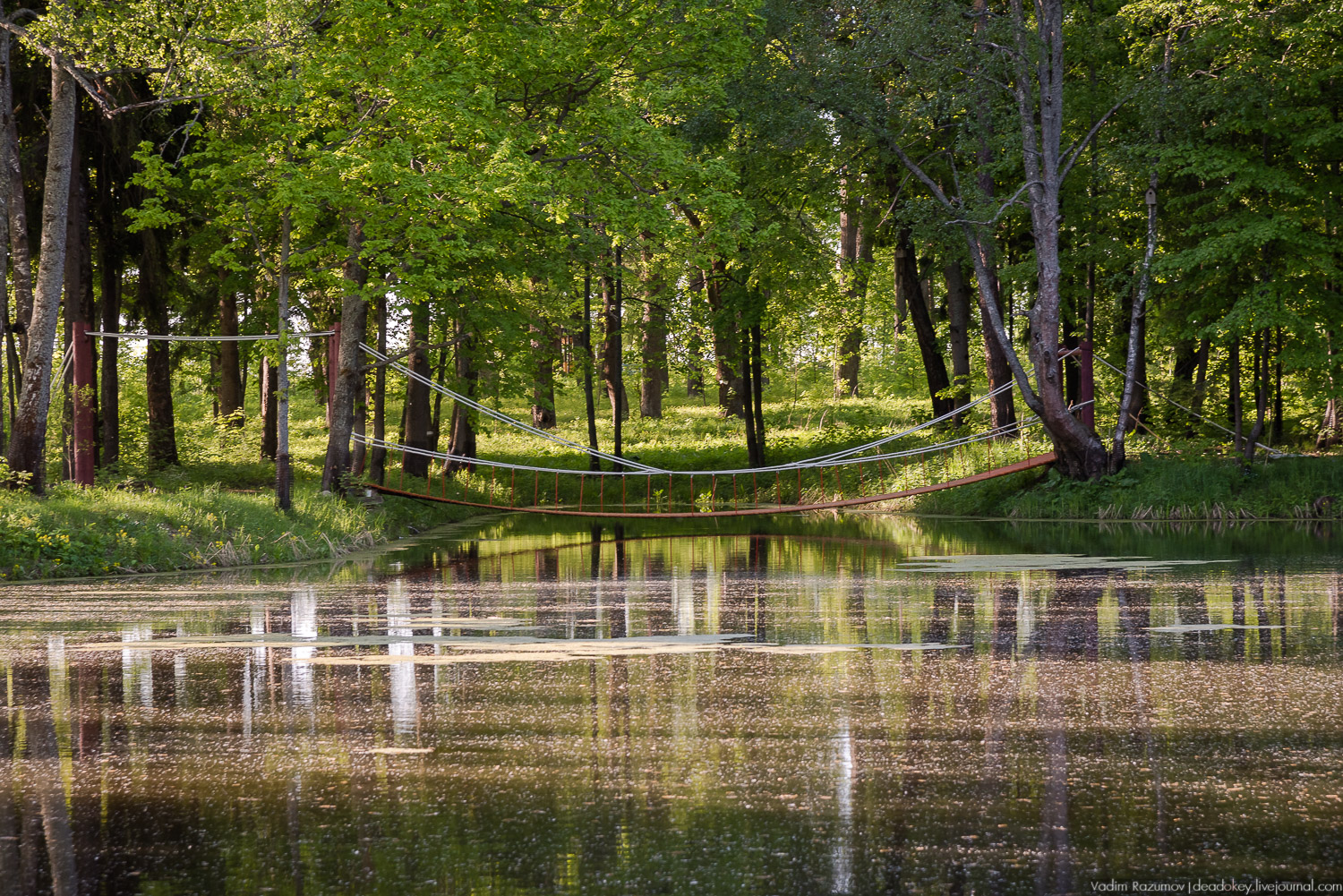 усадьба Воронино