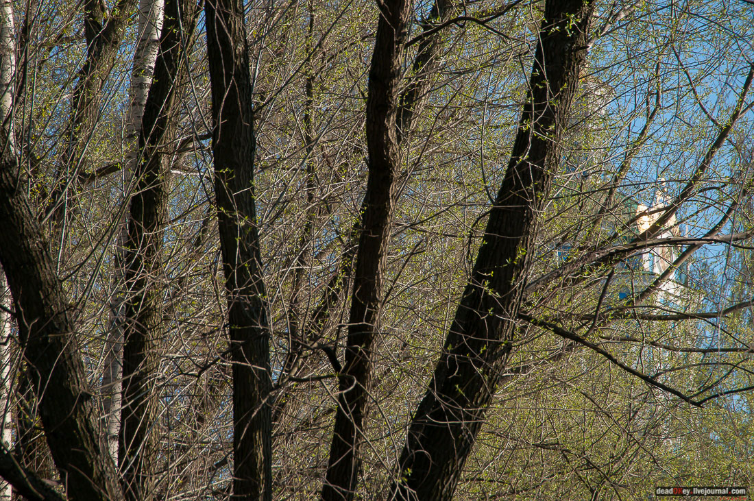 Никольское-Архангельское