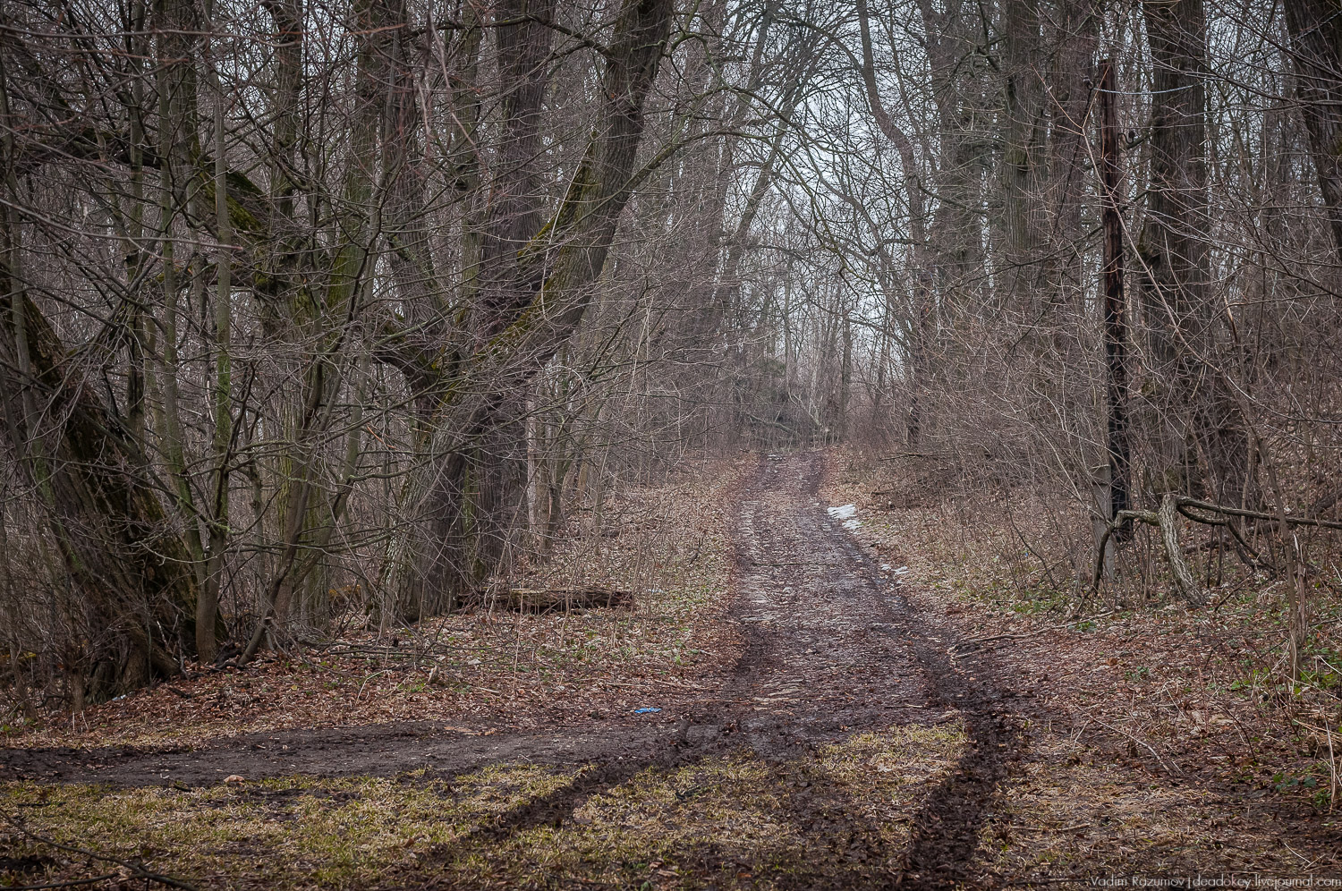 Усадьба Сенницы Усадьба Сенницы