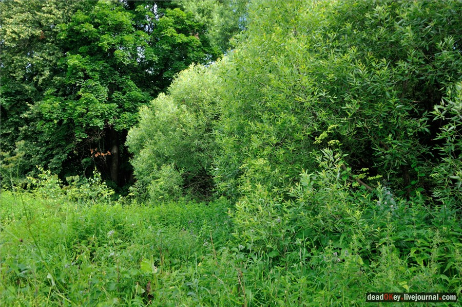 усадьба Алмазово