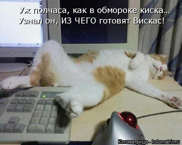 6 (600x480, 119Kb)