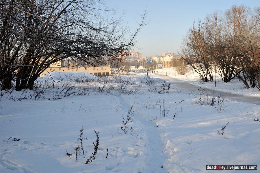 усадьба Люберцы