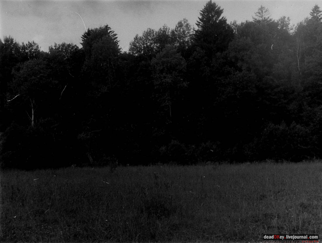 усадьба Васино