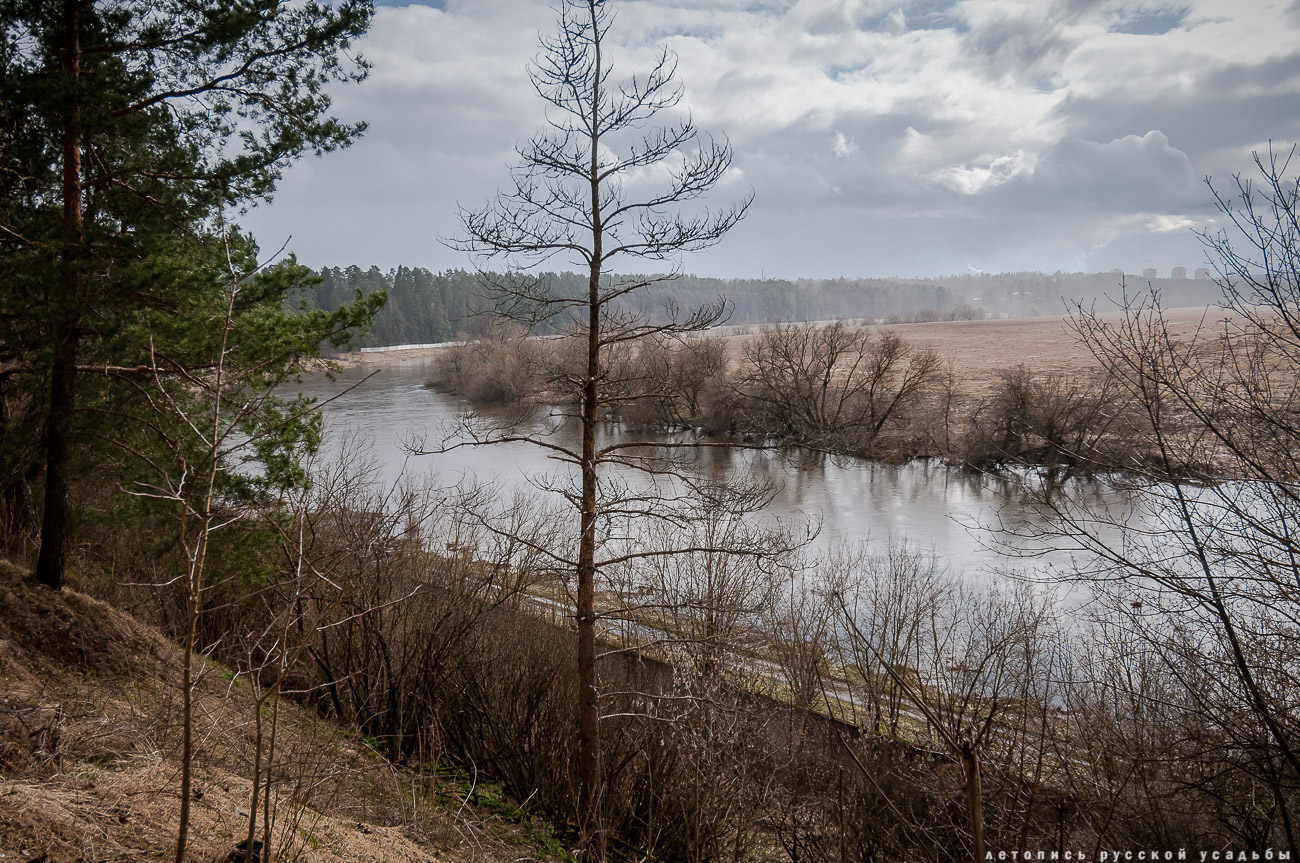 Усадебный экспресс. Введенское.