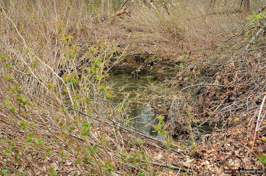 усадьба Антипино