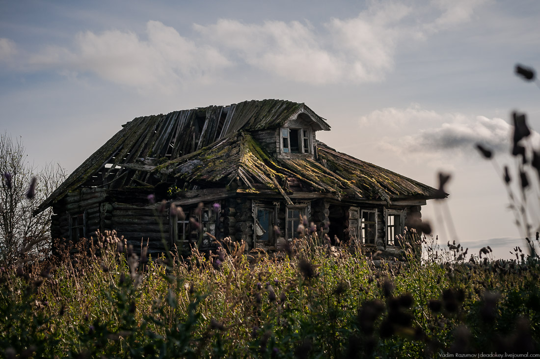 дер. Кучепалда, Архангельская обл.