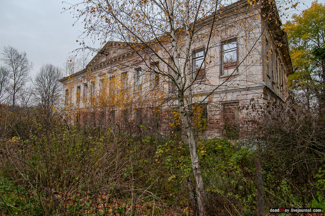 Усадьба Молоди. Архивные фотографии