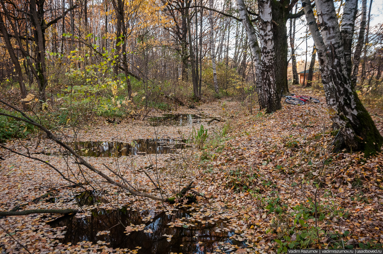 Терлецкий парк, усадьба Гиреево, Новогиреево, Перово