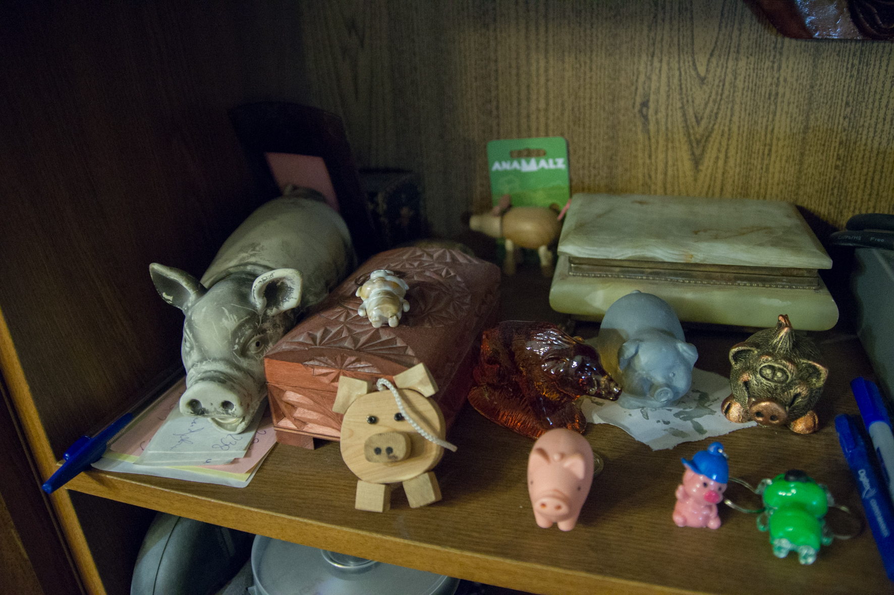 Свиньи, музей свиней