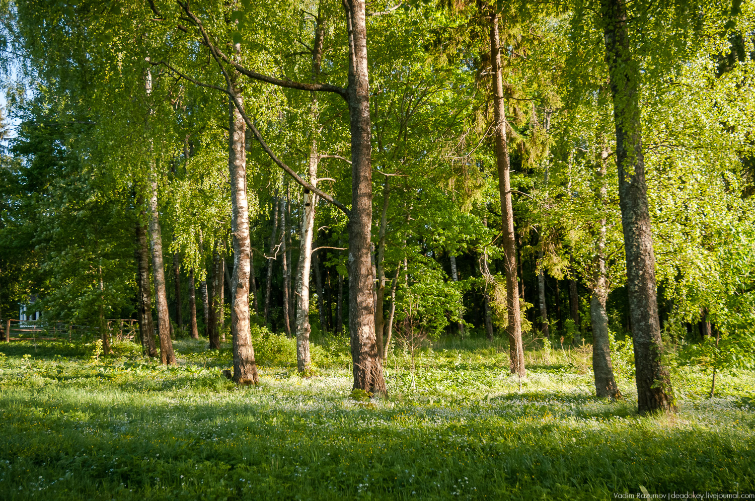 усадьба Воронино