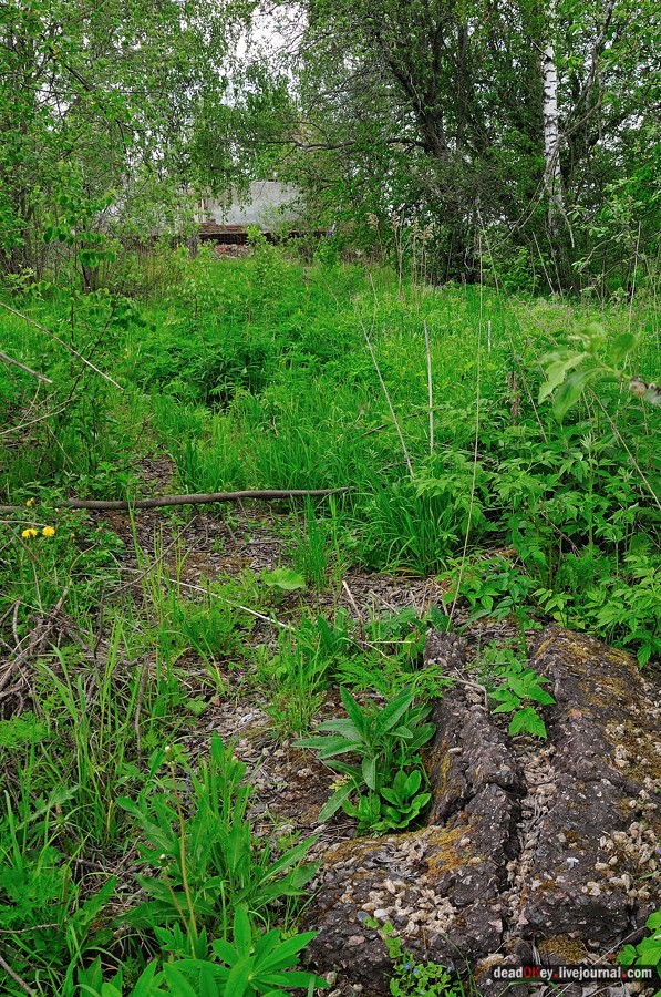 усадьба Спасское