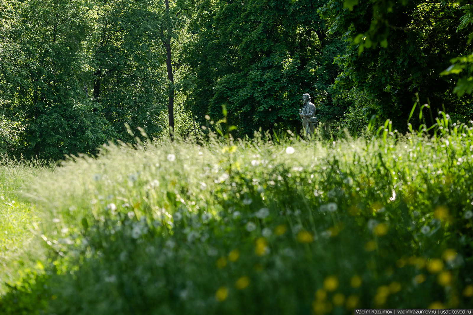 Богородицк, Тульская область