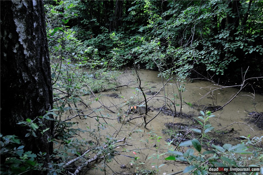 усадьба Алмазово