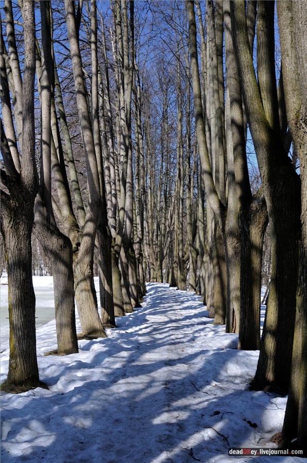 усадьба Узкое