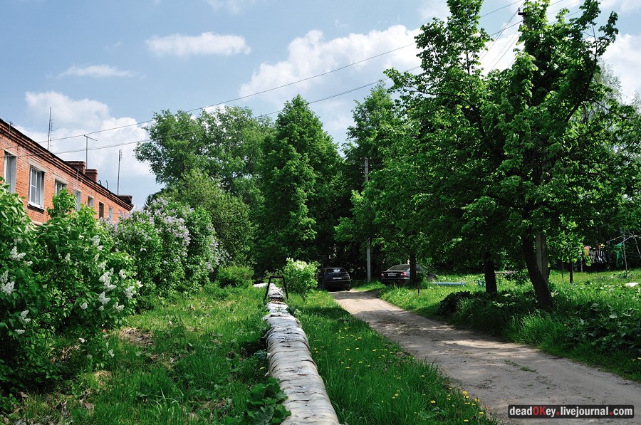 усадьба Ситники