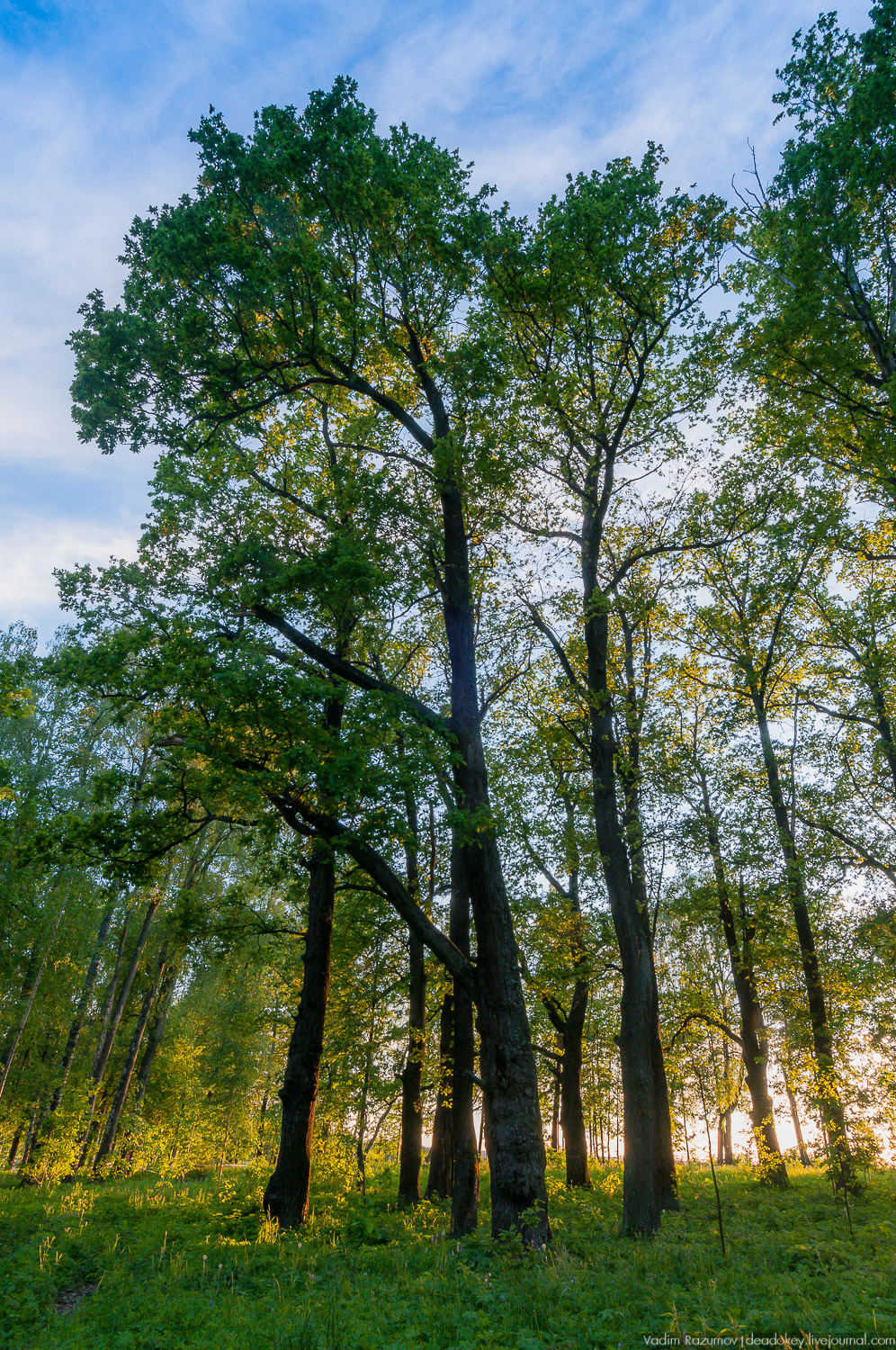 усадьбы Воронино, Ярославская область