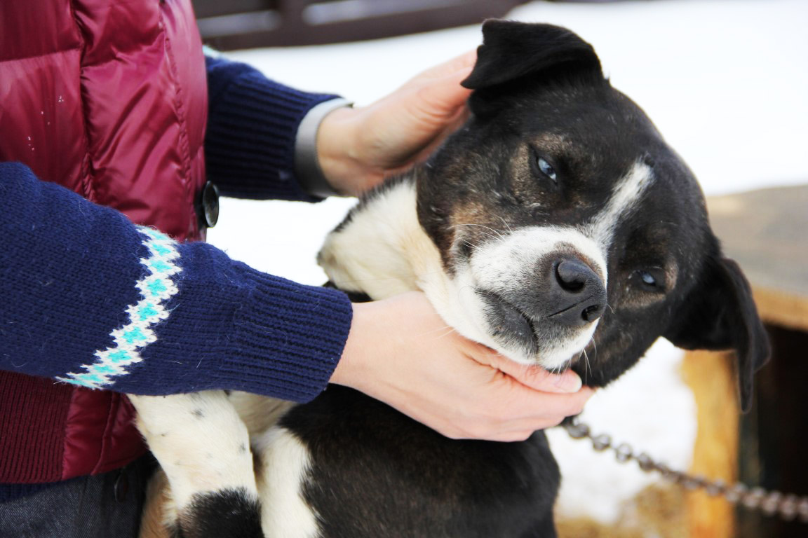 17 июня - Экоэлектричка. Руза.