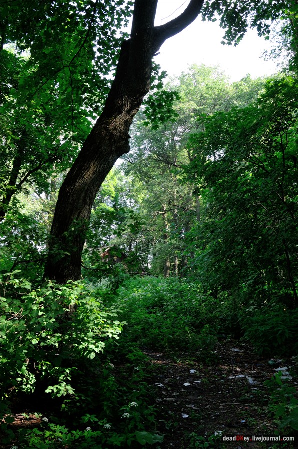 усадьба Дубки