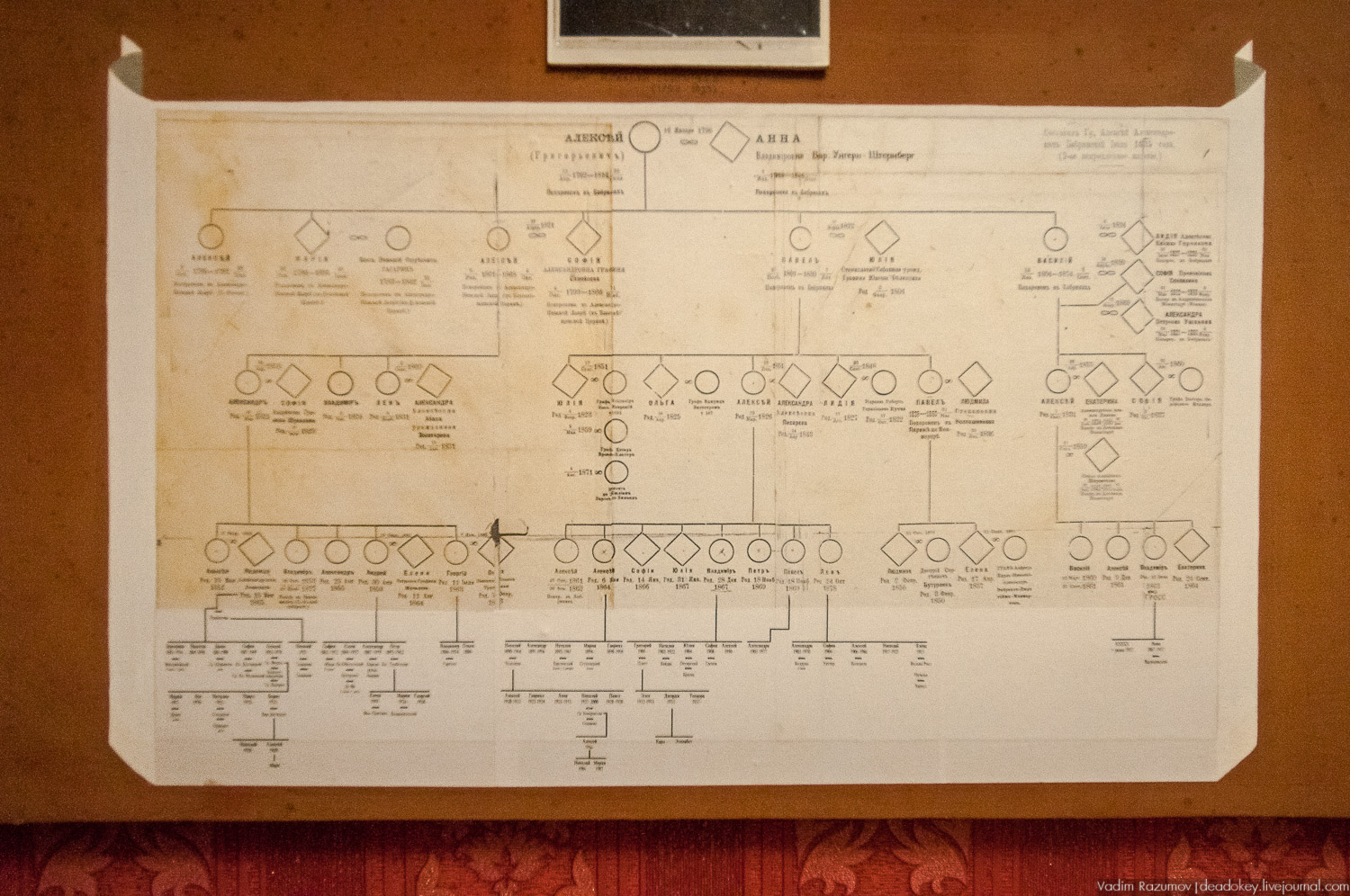 усадьба Бобрики Бобринских, Донской, Тульская область, музей