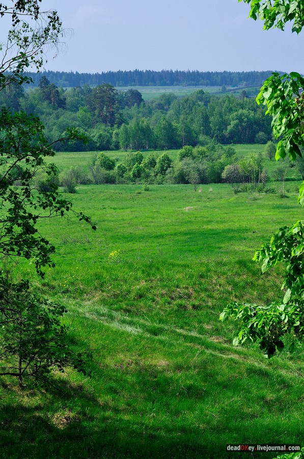 усадьба Лешково и Воздвиженское