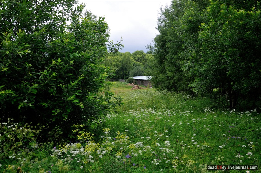 усадьба Фуникова Гора Прокудина-Горского