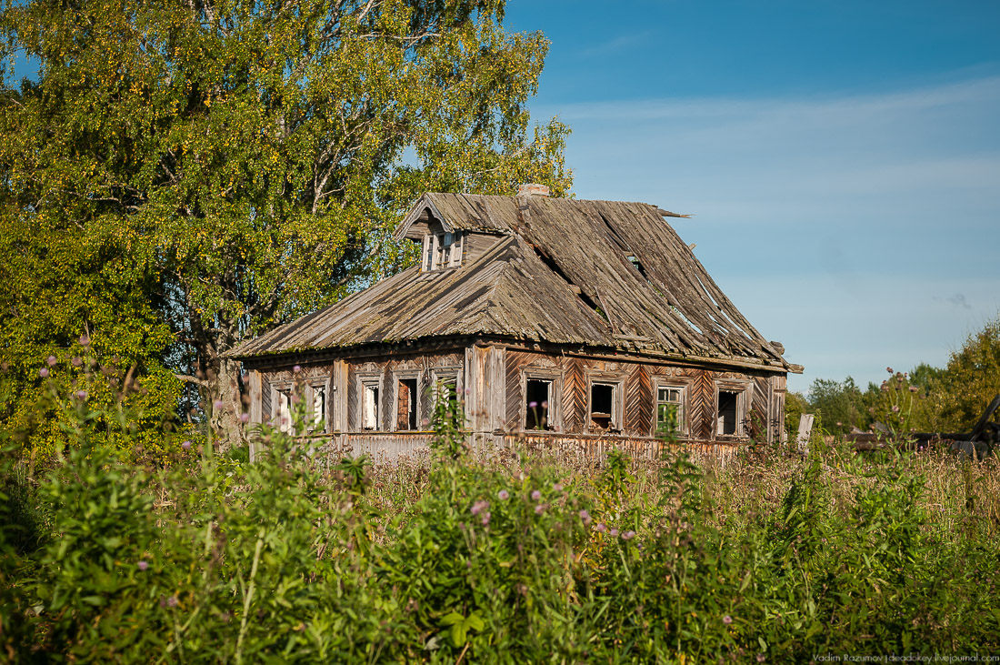дер. Кучепалда, Архангельская обл.