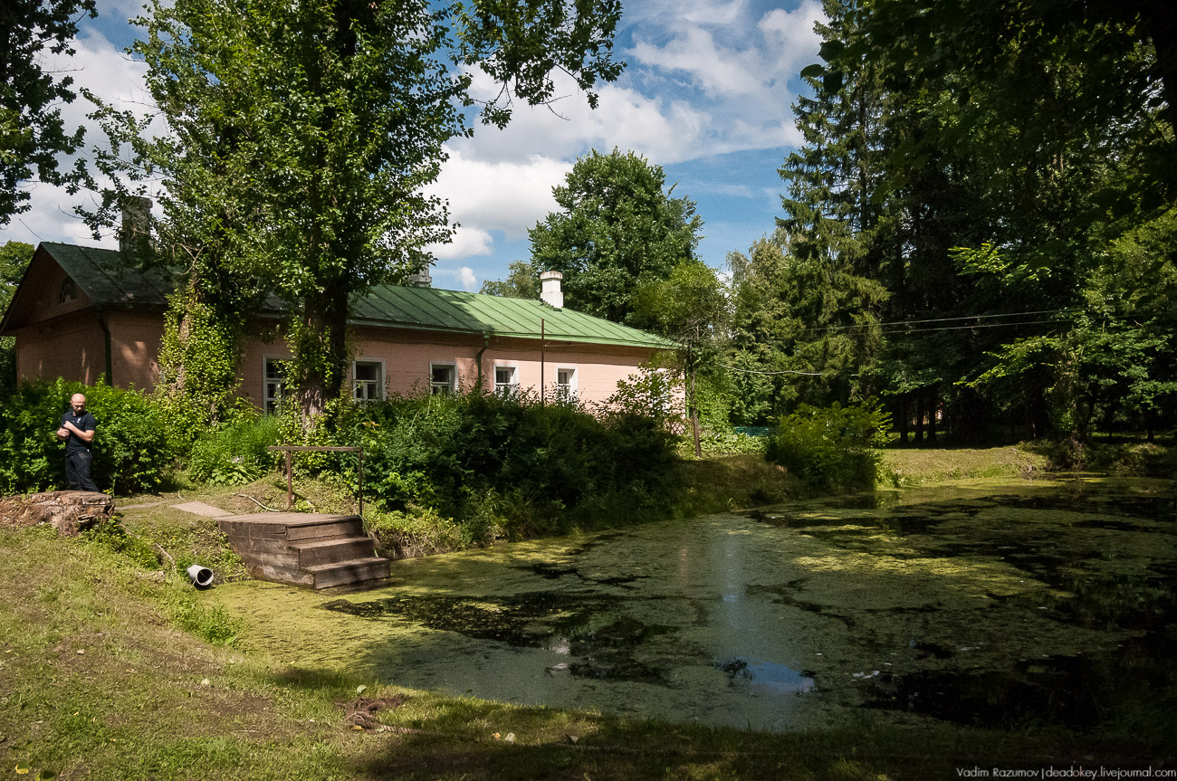 Летопись русской усадьбы. Усадьбы 2017 года