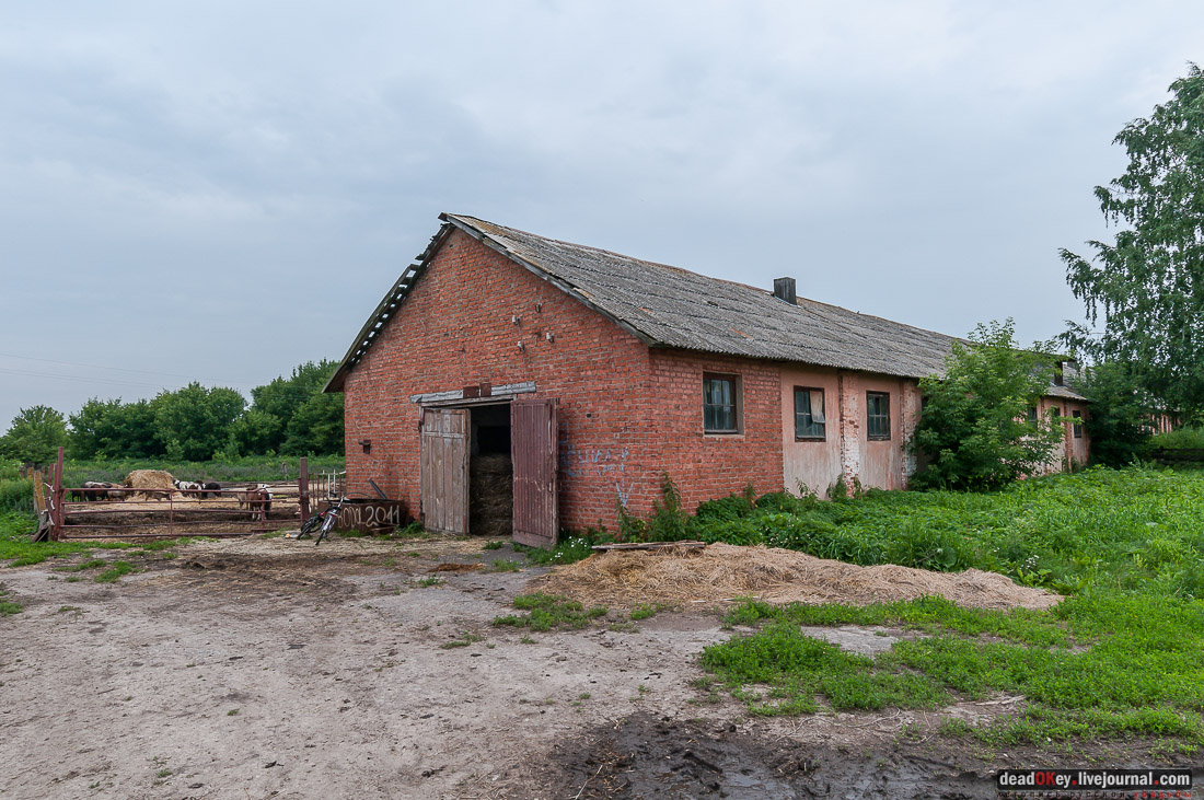 усадьба Дивово