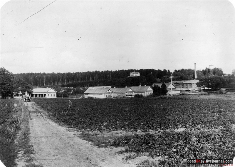 усадьба Лучки