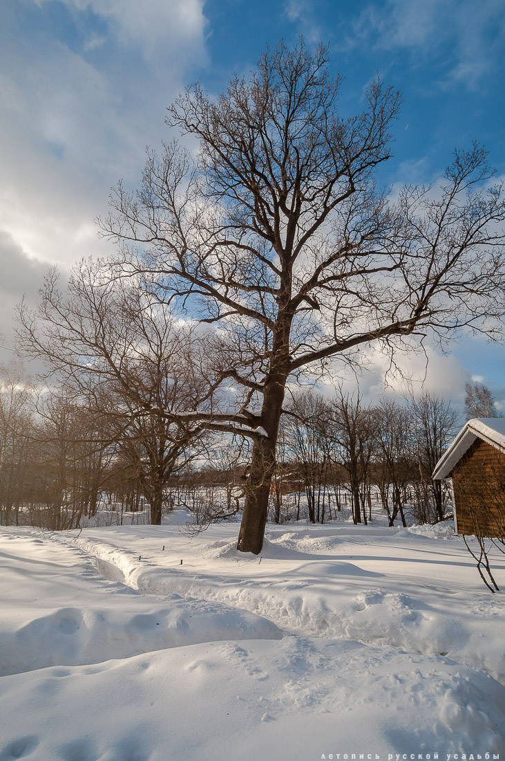 усадьба Мураново, выставка Король и красавицы