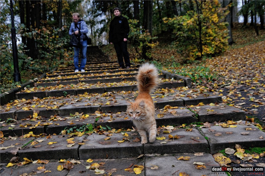 усадьба Марфино