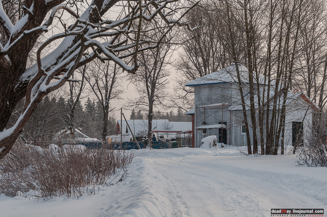 усадьба Васильевское-Скурыгино