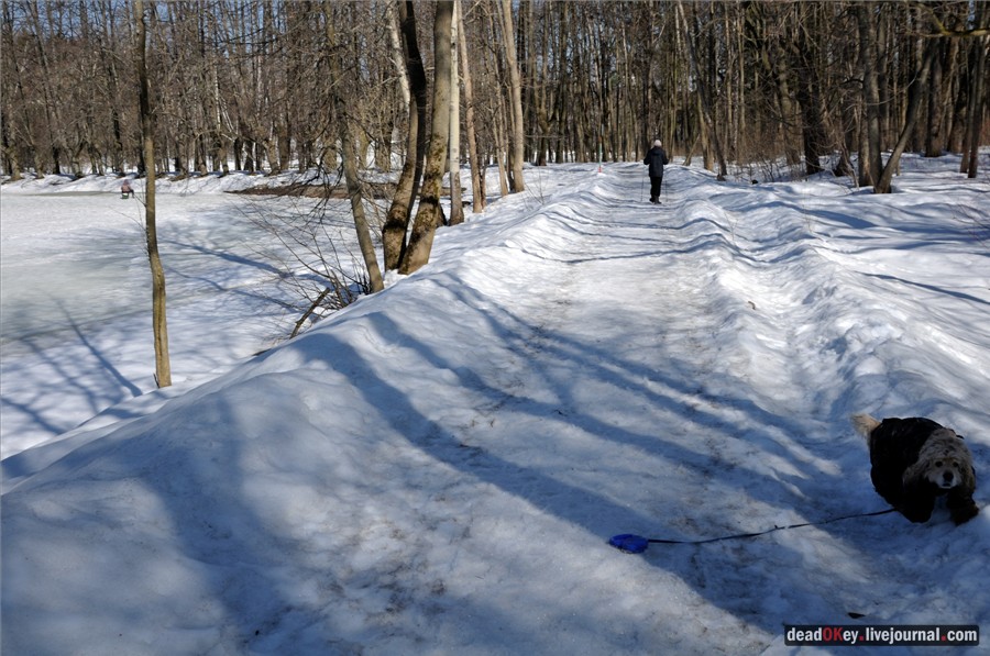 усадьба Узкое