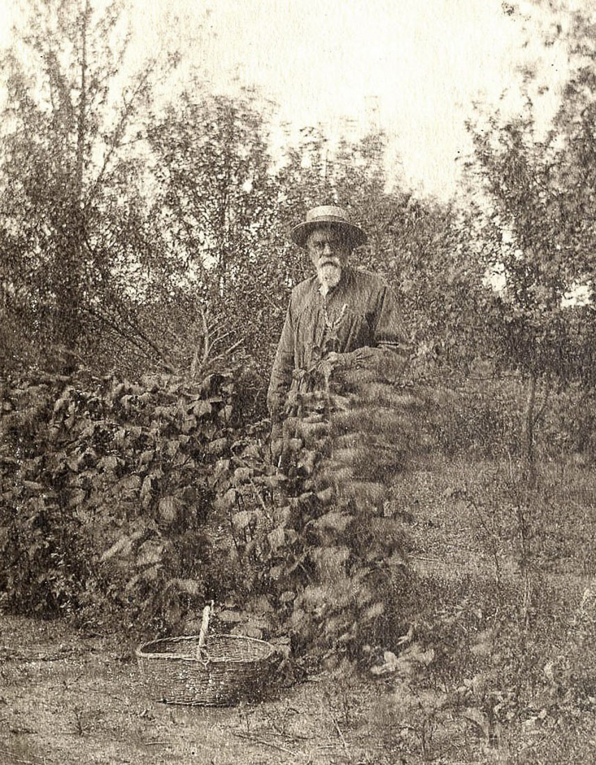 усадьба Дорожаево