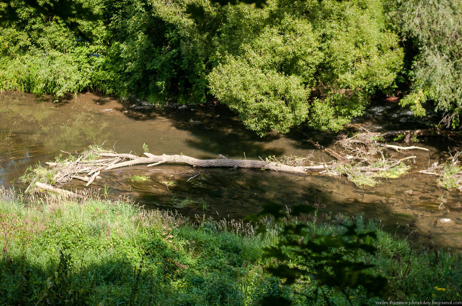 Таруса, дом-музей Паустовского