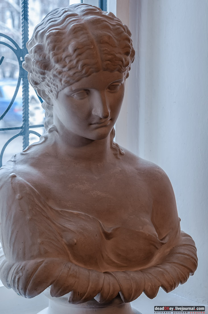 Усадьба Голицыных, г. Мичуринк