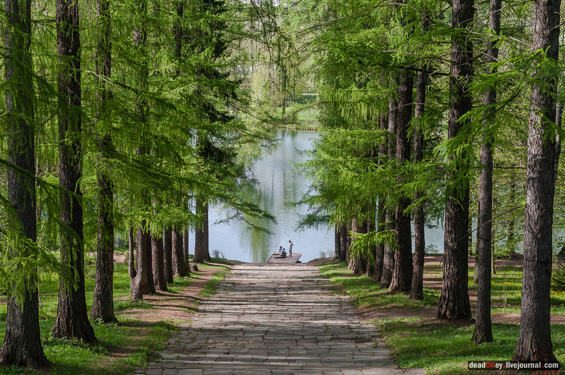 усадьба Середниково