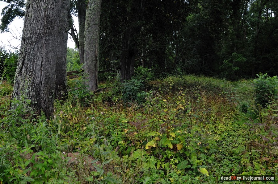 усадьба Верхоляне