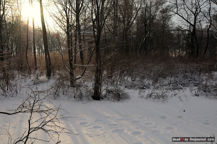 усадьба Быково