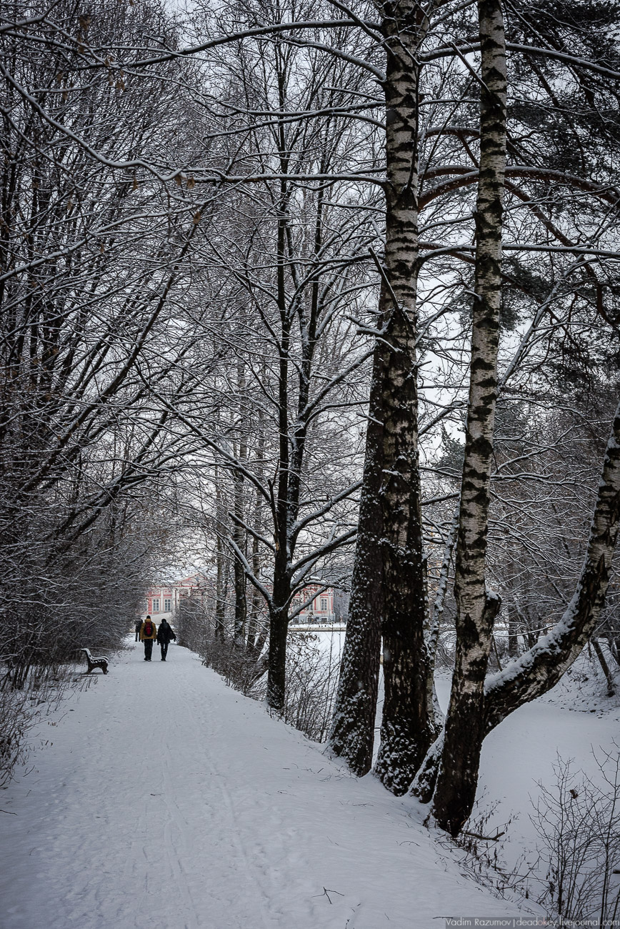 Усадьба Кусково зимой, 2018 год