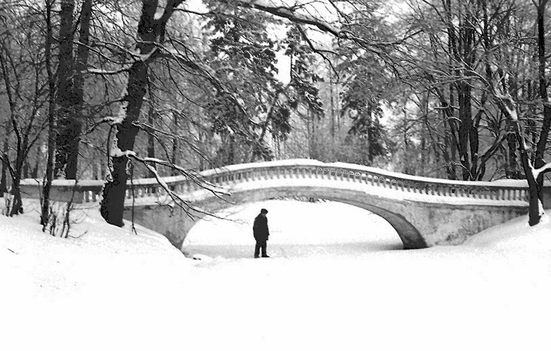 усадьба Быково. Субботник в усадьбе 7 ноября 2015 года