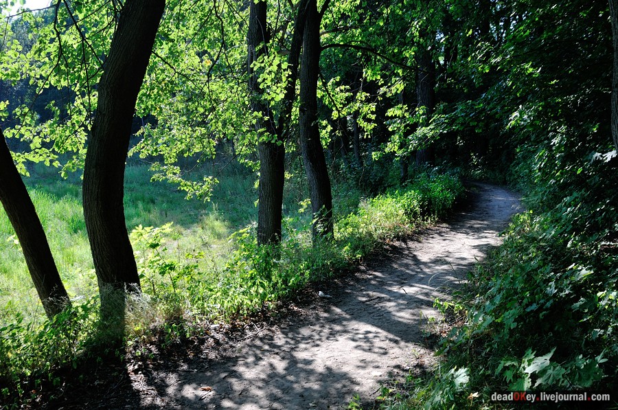 усадьба Шишкино