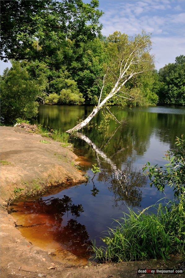 усадьба Алмазово