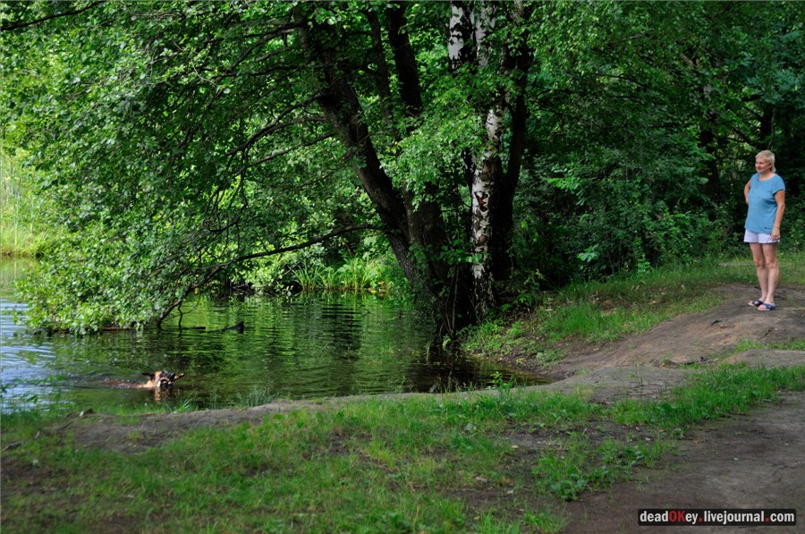 усадьба Алмазово